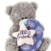 5" True Friend Me to You Bear Extra Image 2 Preview